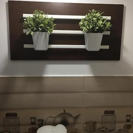 Conta Studio